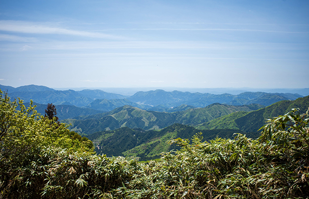 津山市の市況